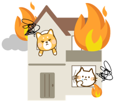 住宅火災-寵物意外費用補償保險 住宅火災-寵物意外費用補償保險